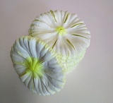 Высечка цветка гвоздики бело-зелёная
