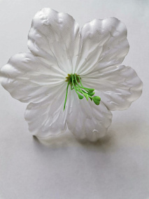 Голова цветка Мальвы атлас  белый