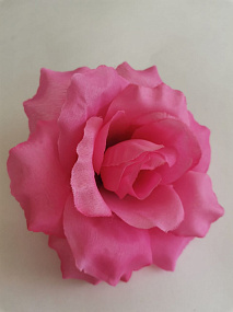 Роза Красота Люси розовый 