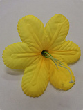 Голова цветка Пуансетия жёлтый 
