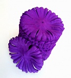 Высечка цветка гвоздики фиолетовая