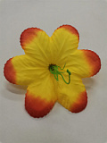 Голова цветка Пуансетия рыжий 