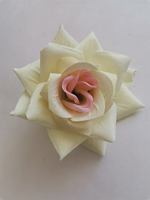 Роза бархатная  "Элегант" бело/розовый 