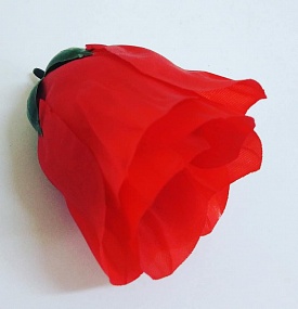 Бутон цветка  розы 