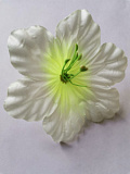 Голова цветка Мальвы атлас бело-зелёный
