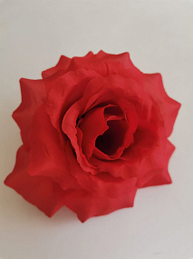 Роза Красота Люси Красный 