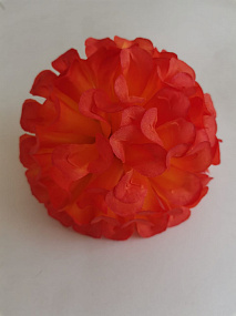 Хризантема шар малая /Рыжий 
