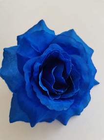 Роза Красота Люси синий 