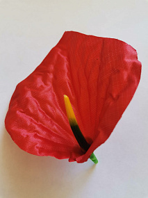 Голова цветка Антуриум атлас красный 