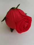 Бутон розы "Милорд" красный 
