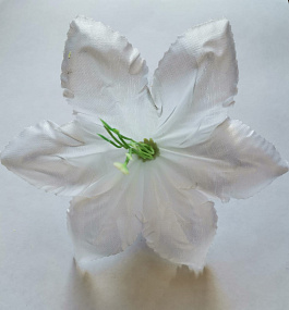 Голова цветка Клематиса атлас белый