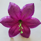 Голова цветка Клематиса атлас фиолетовый 