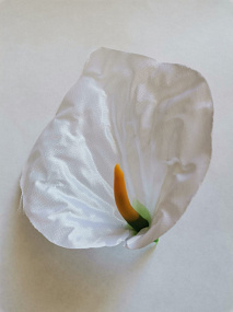 Голова цветка Антуриум атлас белый 