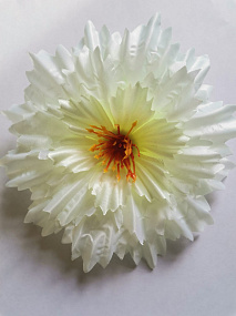Голова цветка Герберы "Снежинка" бело-зеленый