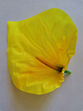 Голова цветка Антуриум атлас жёлтый 
