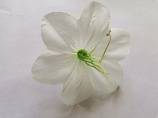 Голова цветка Мальвы бело-зеленый