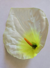 Голова цветка Антуриум атлас белозеленый 