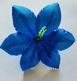Голова цветка Клематиса атлас синий 