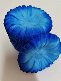 Высечка цветка гвоздики голубой 