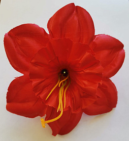 Голова цветка нарцисса атлас красный 
