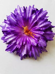 Голова цветка Герберы "Снежинка" фиолетовый