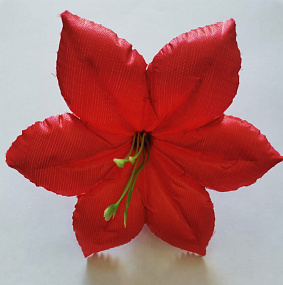 Голова цветка Клематиса атлас красный 