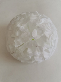 Хризантема шар /белый